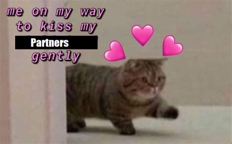 [MEME] kiss kiss : r/polyamory