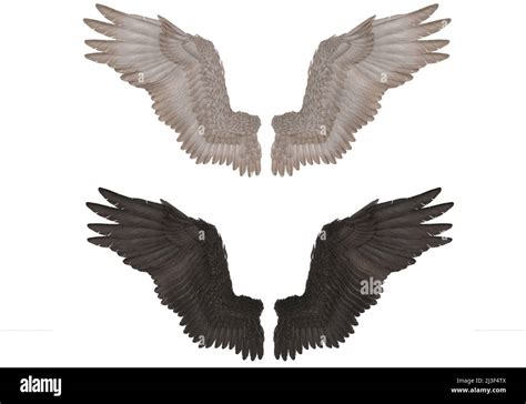 3D Render : Realistic isolated angel wings pair of falcon wings,wings design template Stock ...