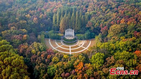 Autumn scenery of Zhongshan Mountain National Park in Nanjing(4/4)