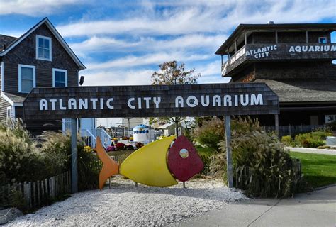 Atlantic City Aquarium | Flickr - Photo Sharing!