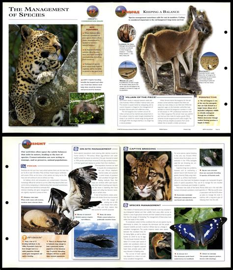 The Management Of Species #27 Conservation - Wildlife Explorer Fold-Out Card