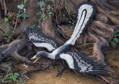 Archaeopteryx by Swordlord3d on DeviantArt