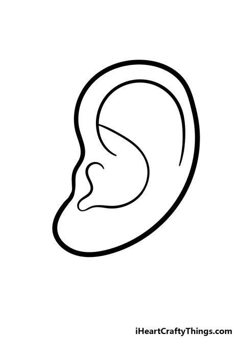 Ear Outline Drawing