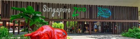 Mandai Singapore - Singapore Zoo Map & Night Safari, Hotel Accomm