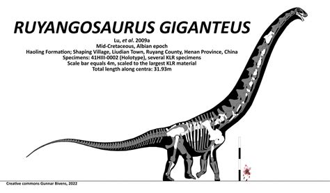 Ruyangosaurus giganteus Mk III Skeletal by GunnarBivens on DeviantArt