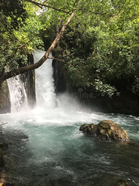 Banias Waterfall in Golan Heights in Israel. Stock Image - Image of ...