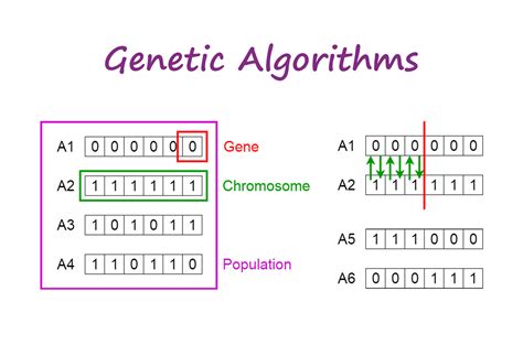 Introduction to Genetic Algorithms — Including Example Code