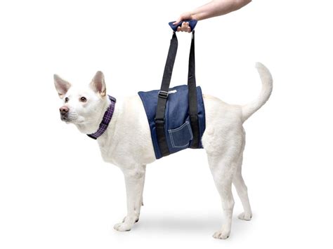 The Walkin' Support Dog Sling is designed to support your pet with ease and protect your back ...