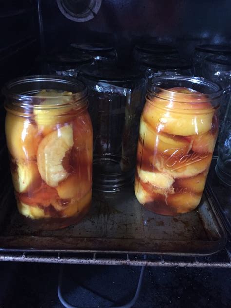 Getting Started Canning: Water Bath Canning Basics and Tips - Her Rural ...