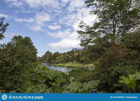 Austral Road - Patagonia - Chile Stock Photo - Image of visiting, chile: 241340558