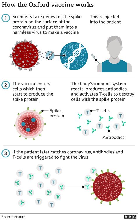 Covid vaccine update: When will others be ready? - BBC News