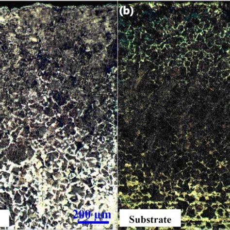 Microstructure of S235 steel after carburizing in cement with carbon... | Download Scientific ...