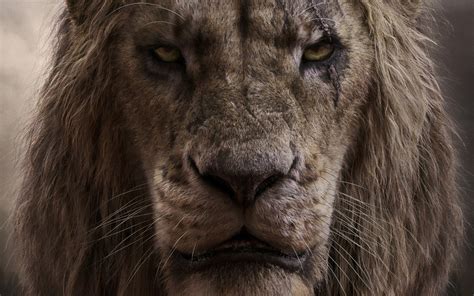 The Lion King, 2019, Scar, 4K, #2 Wallpaper PC Desktop