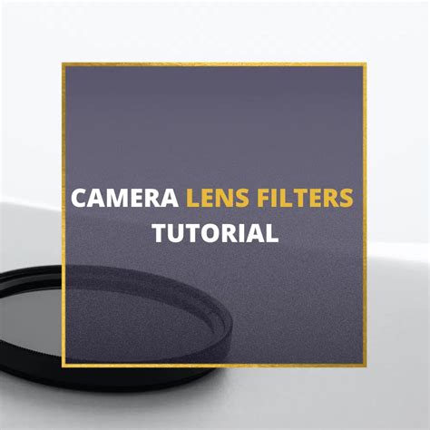 Camera Lens Filters 101: Learn About Lens Filters [2024]