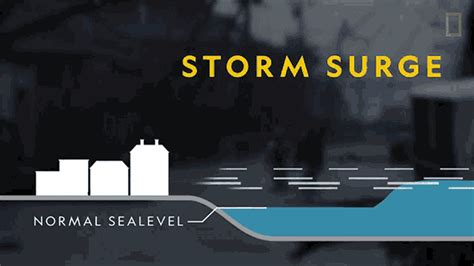 "Storm Surge World Meteorological Day GIF" – "Storm Surge World ...