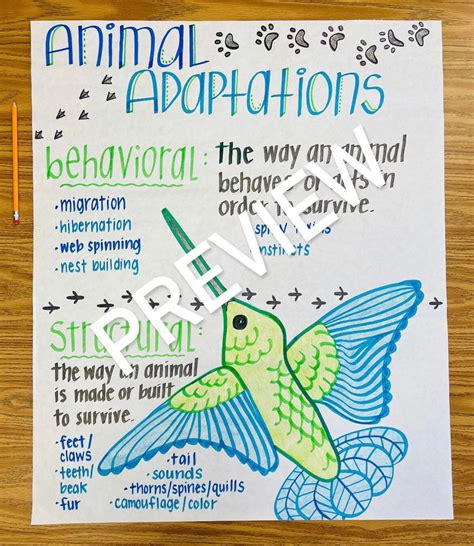 Animal Adaptations Anchor Chart - Etsy