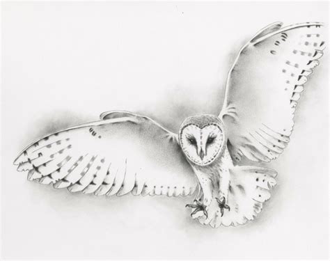 ORIGINAL Pencil Flying Barn Owl Drawing Owl art von JaclynsStudio