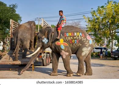 437 Elephant Prison Images, Stock Photos, 3D objects, & Vectors | Shutterstock