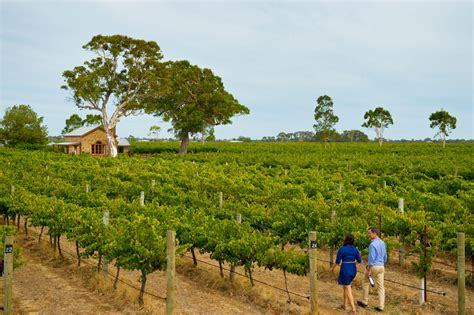 Adelaide wine regions: a helpful guide - SA Weekend Escape