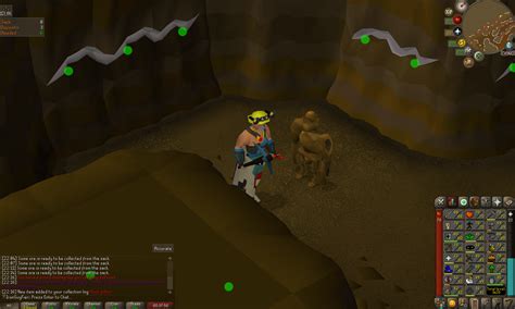 My first ever OSRS pet! : r/ironscape