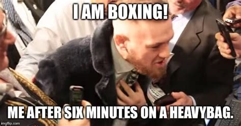 The Best Floyd Mayweather Vs Conor McGregor Memes After The Fight Of ...