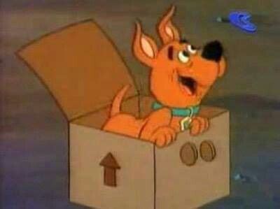 Scooby Doo | Old cartoons, 70s cartoons, Scooby doo tv show