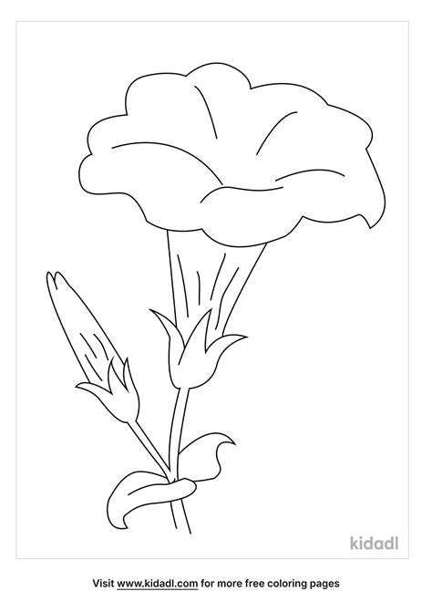 Free Yellow Elder Flower Coloring Page | Coloring Page Printables | Kidadl