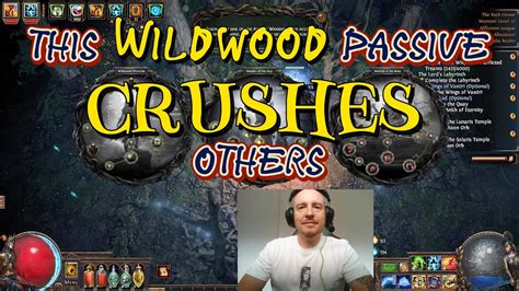 BEST Wildwood Ascendancy Skill in PoE 3.23 Affliction League! - YouTube