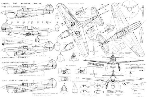 Curtiss P-40 Warhawk Blueprint - Download free blueprint for 3D modeling