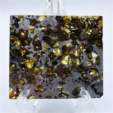 Pallasite Meteorite Seymchan 45.1 grams - Amber International