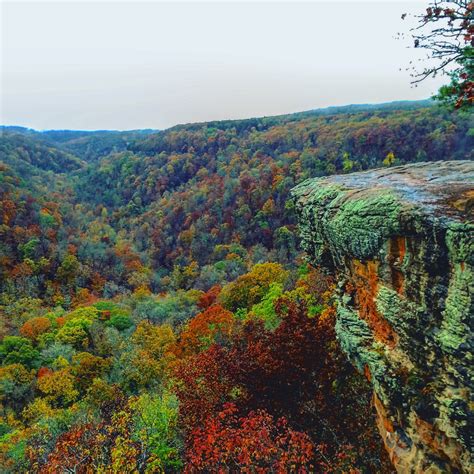 Ozark National Forest Vacation Rentals: cabin rentals & more | Vrbo