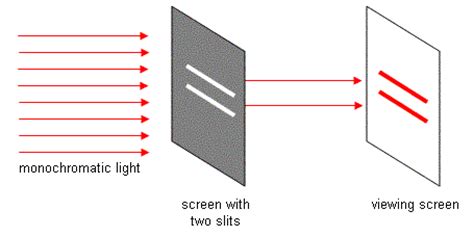 Young double slit experiment Physics Electric Charges And Fields - 1836105 | Meritnation.com