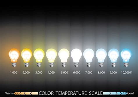 Escala de temperatura de color de luz Vector Premium | Architectural lighting design, Color ...