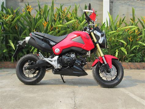 Delicious Thai Dinners Cooked in a Western Kitchen: Honda MSX 125 Grom Mini-Street-Extreme ...