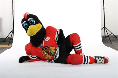 Chicago Blackhawks Mascot Punches & Bodyslams Fan [VIDEO] | Heavy.com