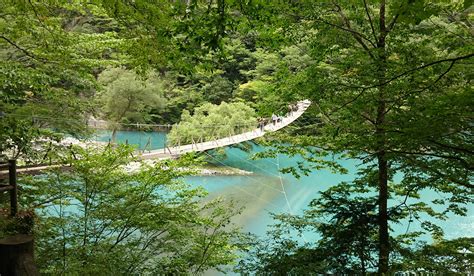 10 Unique Things To Do in Shizuoka - Your Japan