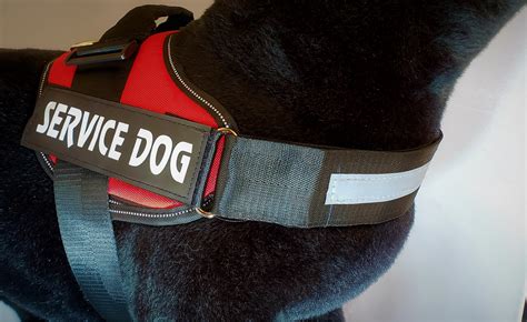 Service Dog Vests – Service Dog Direct
