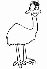 Emu Coloring Pages  Free Printable For Kids sketch template