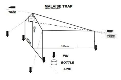 Malaise Trap Black | Mad Hornet Entomological Supplies