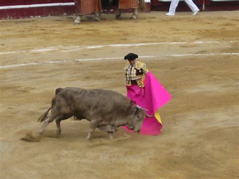 Bull Fighting: History Of Bull Fighting