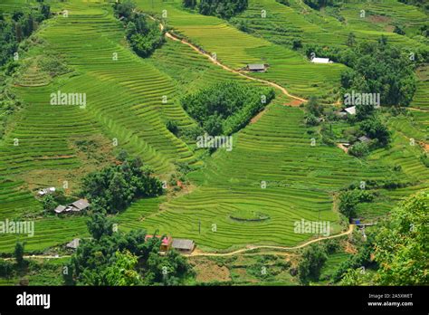 beauty of Vietnam Stock Photo - Alamy