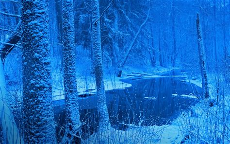 nature, Landscape, Winter, Forest, River, Snow, Trees, Blue, Cold, Frost, Poland Wallpapers HD ...