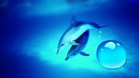 Dolphins HD Wallpaper - WallpaperSafari