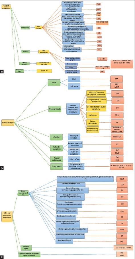 The Differential Diagnosis of Desquamative Gingivitis: Review of the Literature and Clinical ...