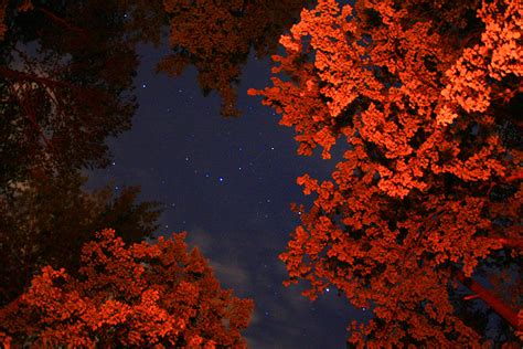 Night Sky by the Campfire Photograph by Gray Artus - Fine Art America