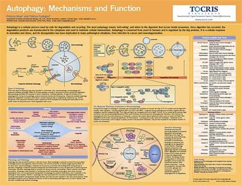 Life Science Posters | Tocris Bioscience