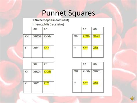 PPT - Hemophilia PowerPoint Presentation, free download - ID:2831697