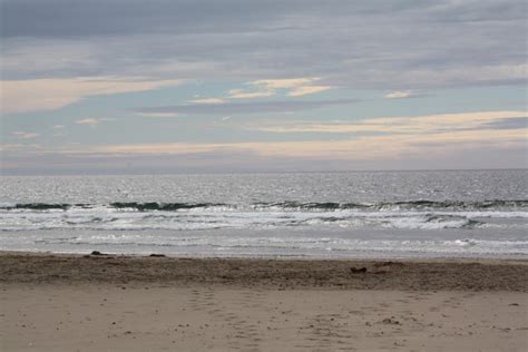 Morro Strand State Beach, Morro Bay, CA - California Beaches