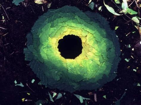 Andy Goldsworthy - subtly beautiful environmental art