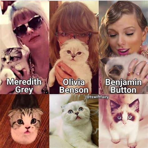 Taylor Swift Cats Names - Vareat